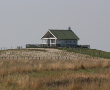 Schafber Hamburger Hallig