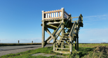 Aussichtsturm Beltringharder Koog