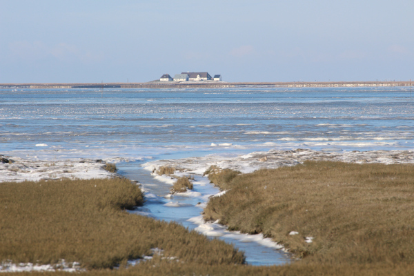 Hamburger Hallig im Winter