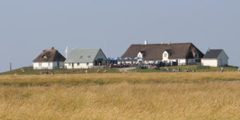 die Hamburger Hallig Spätsommer