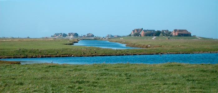 Hallig Hooge