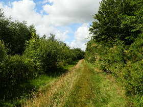 Wanderwege im Katinger Watt