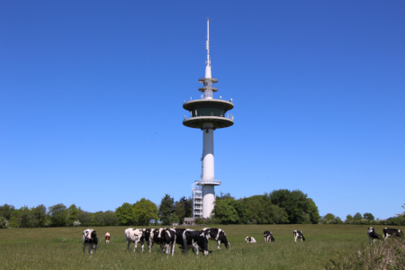 Sendeturm auf dem Stollberg