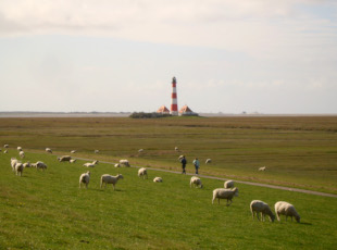 der Westerhever Leuchtturm