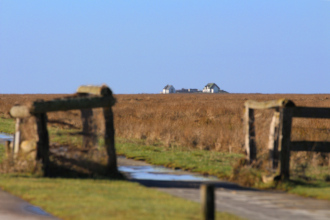 Hamburger Hallig