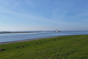 Krabbenkutter vor dem Dockkoog