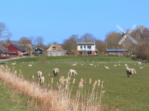 Blick auf Struckum